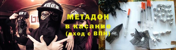 прущие грибы Алзамай