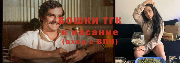 прущие грибы Алзамай