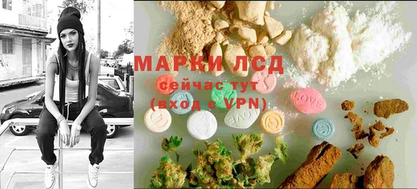 стафф Алексин
