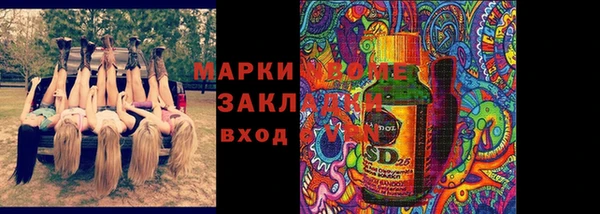стафф Алексин