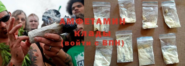 прущие грибы Алзамай