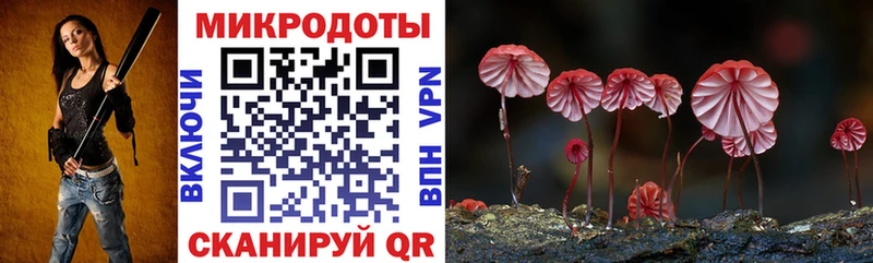 Псилоцибиновые грибы Psilocybe  ОМГ ОМГ ссылки  Бабушкин  как найти наркотики 