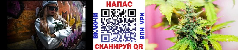 Каннабис MAZAR  Бабушкин 